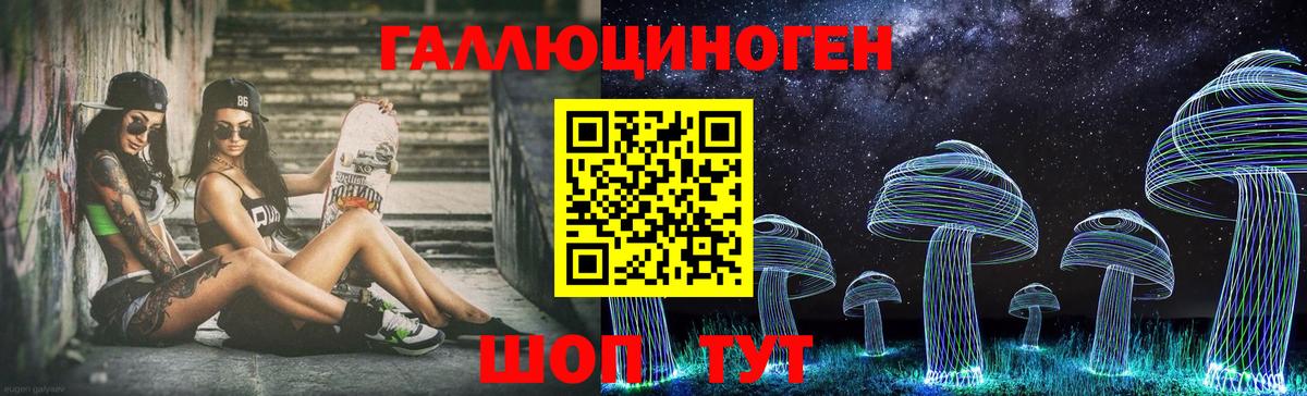 Галлюциногенные грибы MAGIC MUSHROOMS  Галлюциногенные грибы мухоморы  Кузнецк  Вход с VPN 